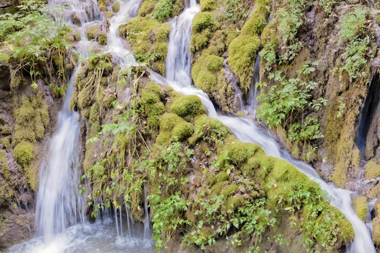 Waterfall & Pool ريفا ديل غاردا المظهر الخارجي الصورة
